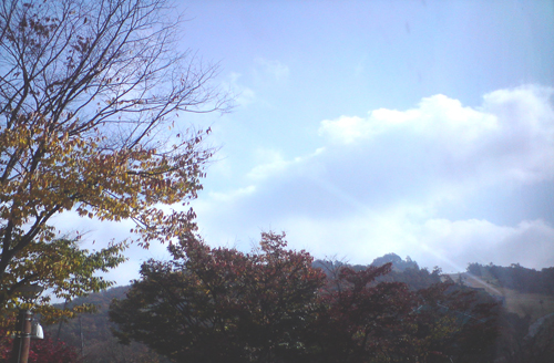 사용자 삽입 이미지
